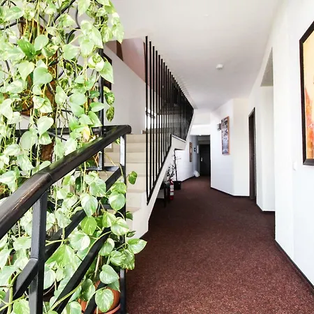 Razvan ブカレスト